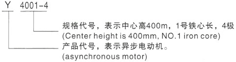 西安泰富西玛Y系列(H355-1000)高压龙泉三相异步电机型号说明